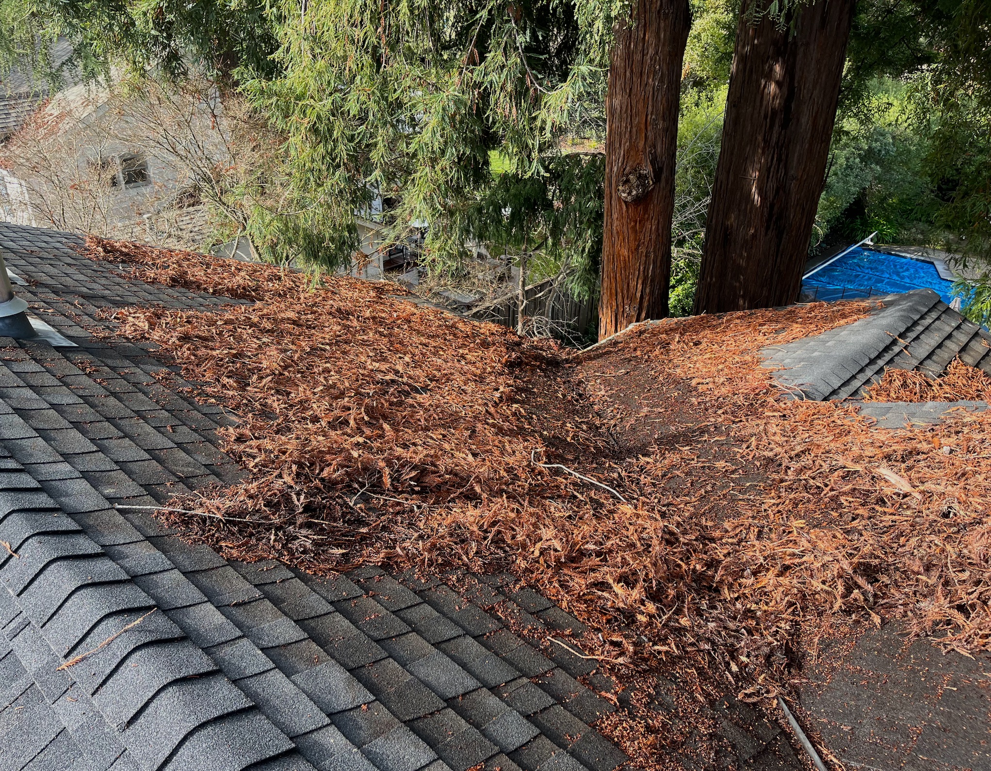 gutter and roof cleaning service image