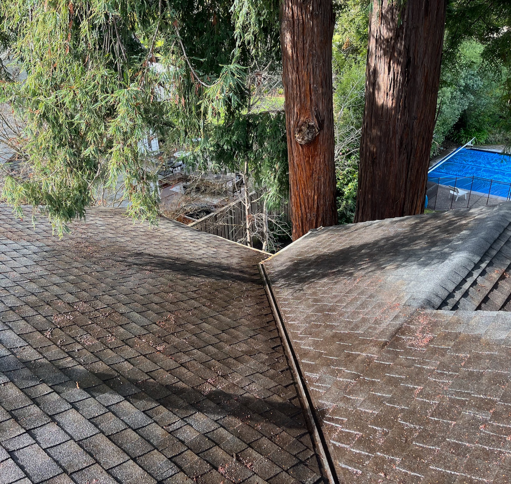 Rogers Windows and Gutters | Gutter and Roof cleaning image